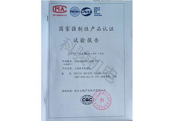 國家強(qiáng)制性認(rèn)證試驗(yàn)報(bào)告：三相異步電動機(jī)