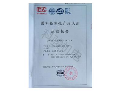 國家強(qiáng)制性認(rèn)證試驗報告：三相異步電動機(jī)